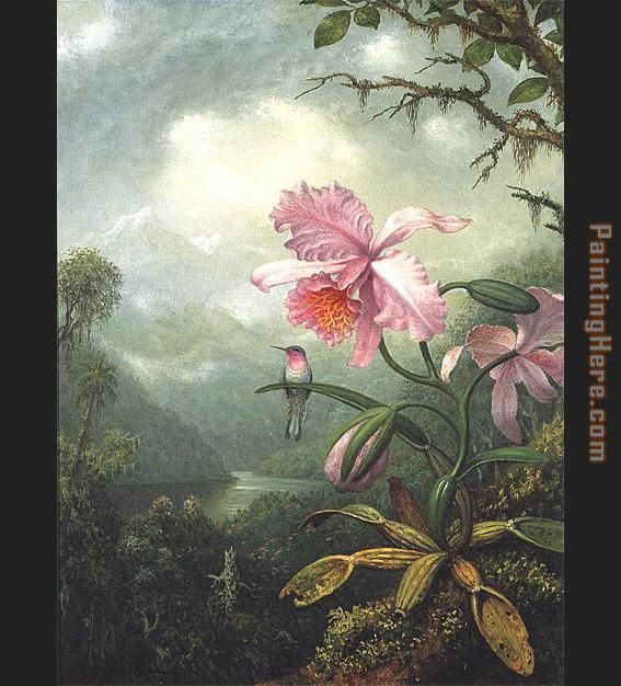 Hummingbird Perched on an Orchid Plat painting - Martin Johnson Heade Hummingbird Perched on an Orchid Plat art painting